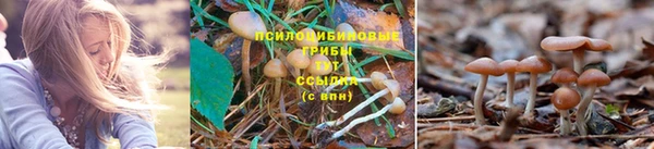 a pvp Верхний Тагил
