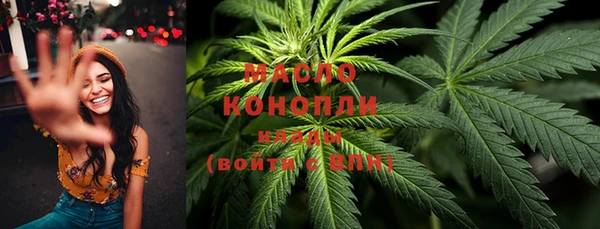 сатива Бородино