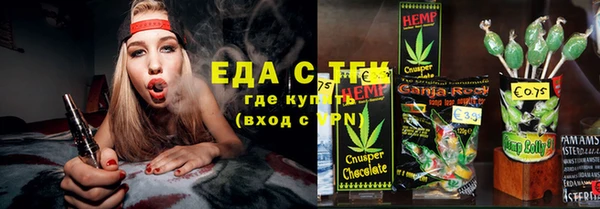 сатива Бородино