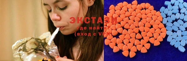 сатива Бородино