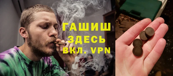 сатива Бородино