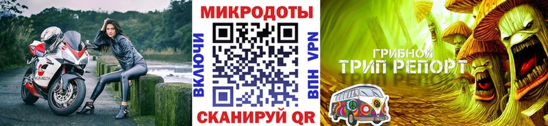 Галлюциногенные грибы Psilocybe  где купить   Лысково 
